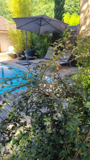 L' Intimiste : avec Piscine privée et Jacuzzi privé